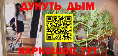 скорость Кимры